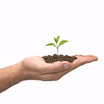 NPO�@�l�ݗ��T�|�[�g