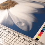 ����T�[�r�X�E��ӃT�[�r�X